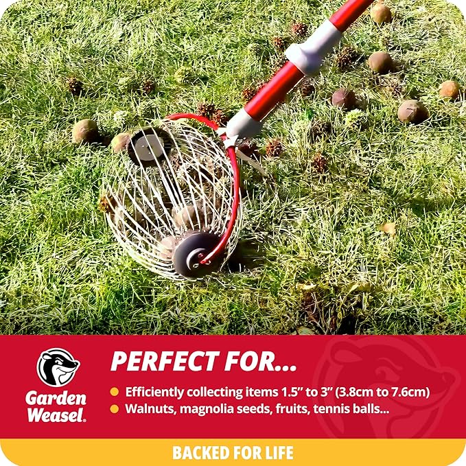 Garden Weasel Nut Gatherer - Large Cage | Pick Up Walnuts, Small Apples, Citrus Fruits, Tennis Balls | Nut Collector and Picker Upper Roller with Cage Spreader | 95404