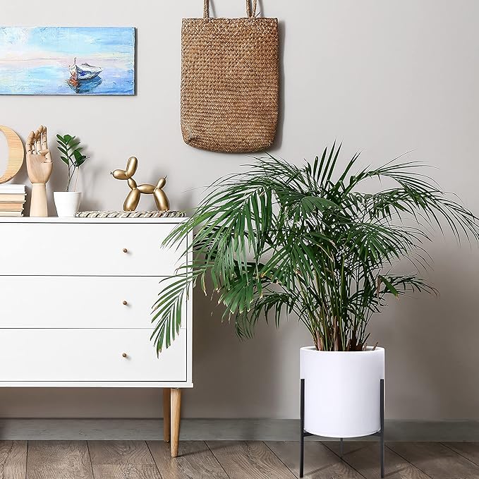 D'vine Dev Modern White Plants Pot Cylinder Planter with Heavy Duty Stand, Large 12 Inch Pot, 18.9 Inch with Stand Height, 96-T-A-3