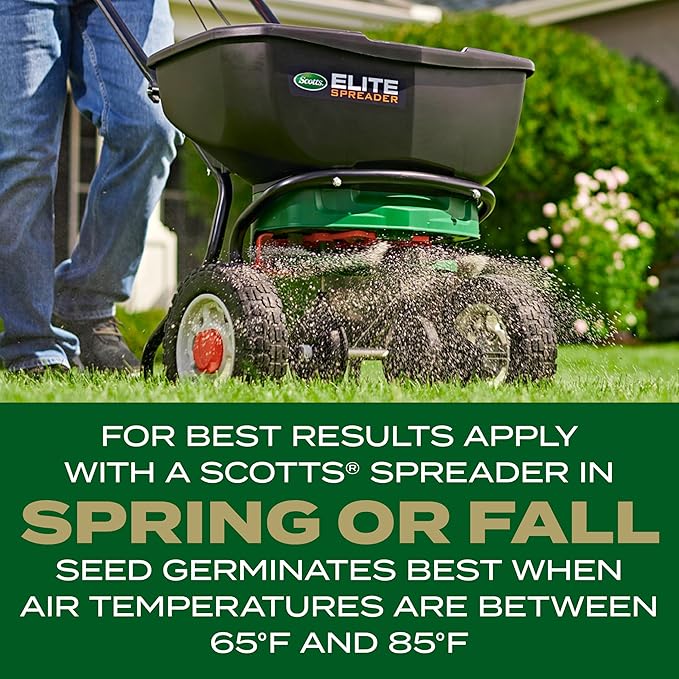 Scotts Turf Builder Rapid Grass Southern Gold Blend for Tall Fescue Lawns, Combination Seed and Fertilizer, 16 lbs.