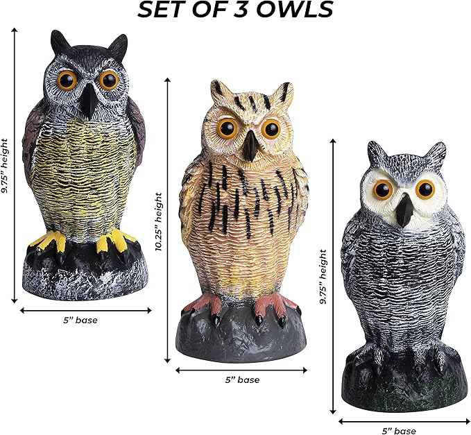 Galashield Owl Decoy | Plastic Fake Owls | Owl Statue for Garden & Outdoors [Set of 3]