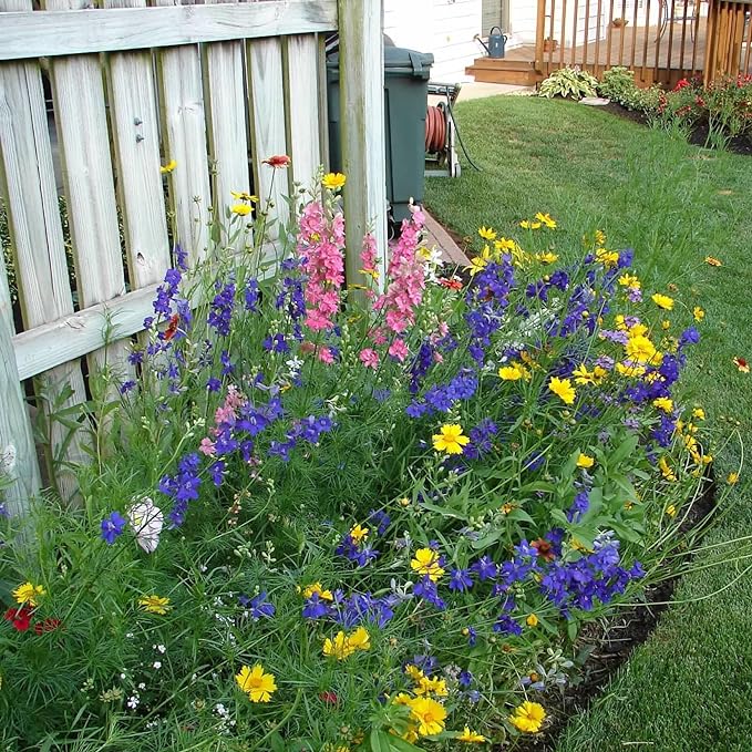 Utah Wildflower Seed Mix, Covers 325 Sq Ft, 17 Flower Varieties, Over 53,000 Seeds - Created By Nature