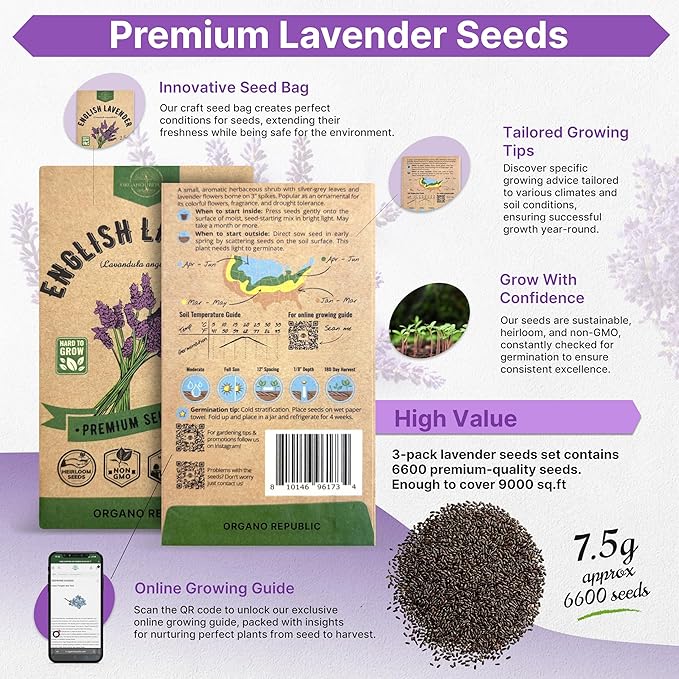 Organo Republic 3-Pack English Lavender Seeds 7.50G - Over 6600 Non-GMO Heirloom Lavender Seeds for Planting in Individual Seed Packets, Herb Seeds for Planting Home Garden Indoor & Outdoor Gardening