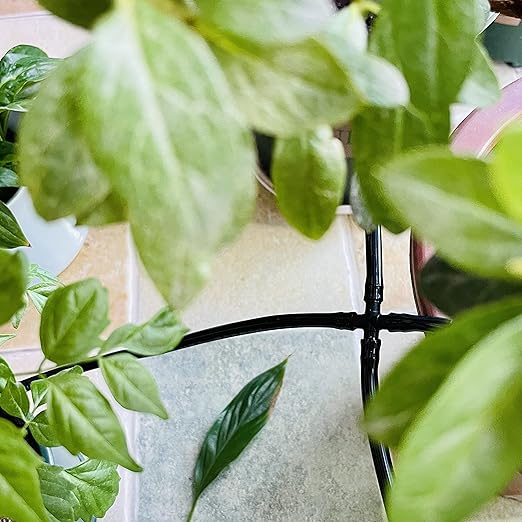 50-Pack Drip Irrigation Universal Connectors 1/4 Inch Barbed Tee Fittings for 1/4" Drip Irrigation Tubing, Barbed 4 Ways Connectors for 4mm/7mm Drip Irrigation Watering System, Black