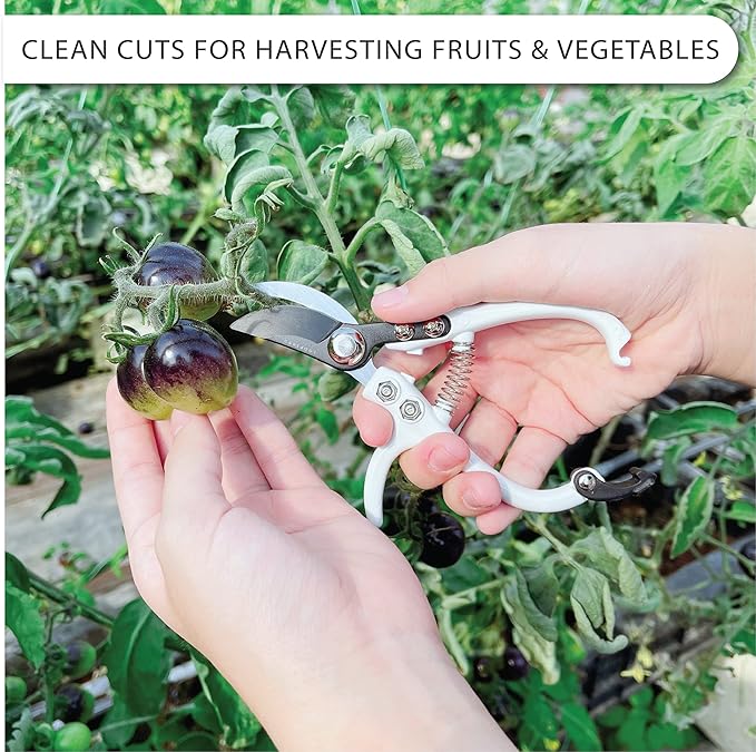 Bypass Pruning Shears Hand Pruner Garden Trimming Scissors Plant Trimmers Herb Snips Flower Clippers Ergonomic Handle Modern Garden Tools