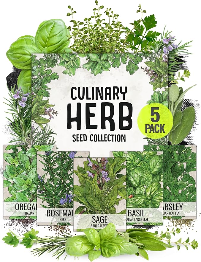 Seed Needs, Italian Herb Seed Packet Collection (5 Individual Seed Varieties for Planting) Non-GMO & Untreated - Oregano, Basil, Rosemary, Sage and Parsley