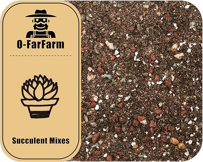 Succulent Soil Potting Mix 1.1 LBS, Optimized PH Fast Draining with Added Nutrients, Perfect for Small Succulent Pots