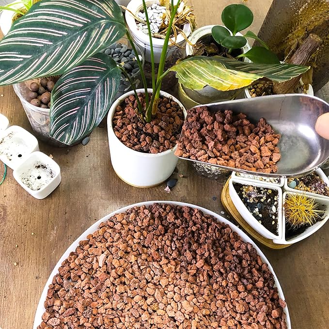 1.5 Lb Red Lava Rocks for Plants Decorative Landscaping 1/2" Lava Rock Granules Top Dressing for Cacti, Succulents Bonsai Plants for Release Excess Water to Prevents Root Rot