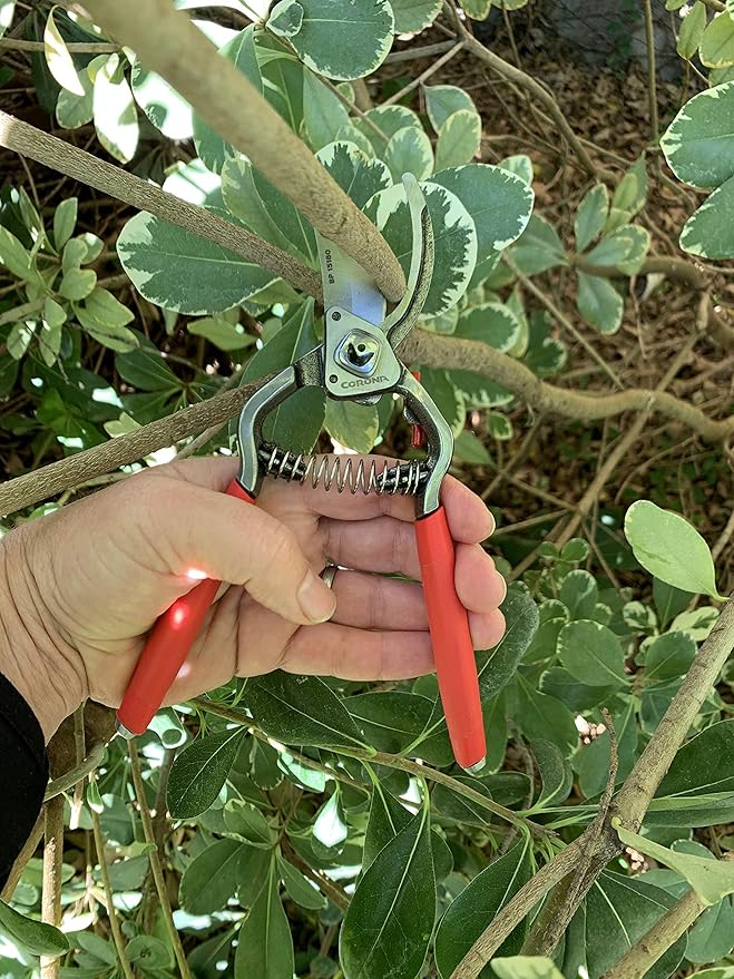 Corona BP15180 Forged Steel ClassicCUT Bypass Hand Pruner - 1 inch Cut Capacity Stem and Branch Garden Shears, Red