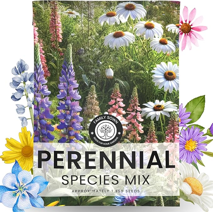 Perennial Species Mix - Large 2,500mg Envelope - 1,250 Flower Seeds for Planting - Wildflower Mix