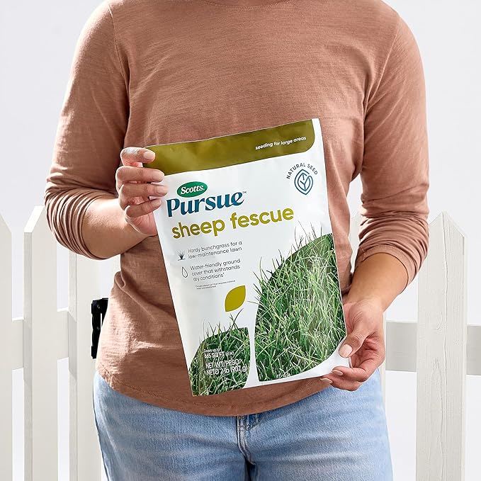 Scotts Pursue Sheep Fescue with Natural Seed, Seeding for Large Areas, 2 lbs.