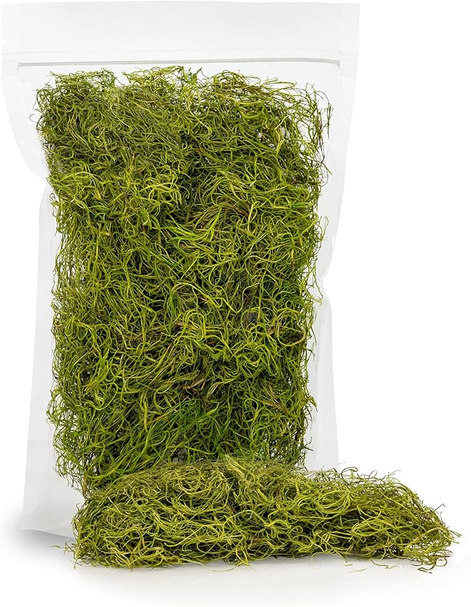 Premium Spanish Moss in Spring Green| Natural Preserved - Great Ground Cover - Filler for Potted Plants - by GARDENERA - 2 Quart Bag
