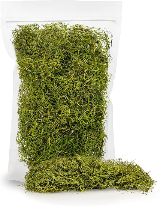 Premium Spanish Moss in Spring Green| Natural Preserved - Great Ground Cover - Filler for Potted Plants - by GARDENERA - 2 Quart Bag