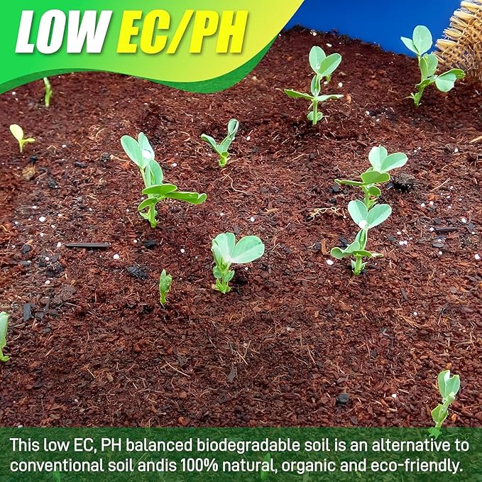 Anothera Coco Coir Brick for Plants- 12 Pack Premium 100% Organic Peat Moss Mix with Low EC & pH Balance, Fiber Coconut Husk for Planting, Gardening, Potting Soil Substrate