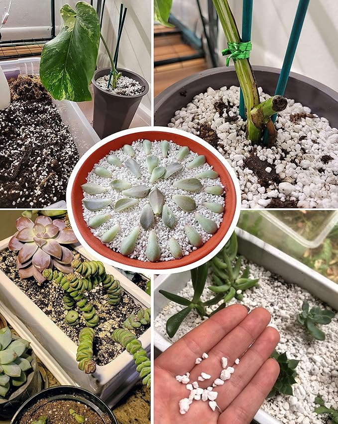 10 QT Professional Grade Horticultural Organic Perlite (10 QT, Perlite)