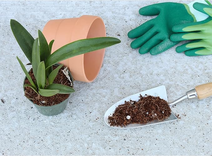 Terrarium Potting Soil Mix (4 Quarts), w/Blended Filtering Charcoal Custom Made for Terrariums