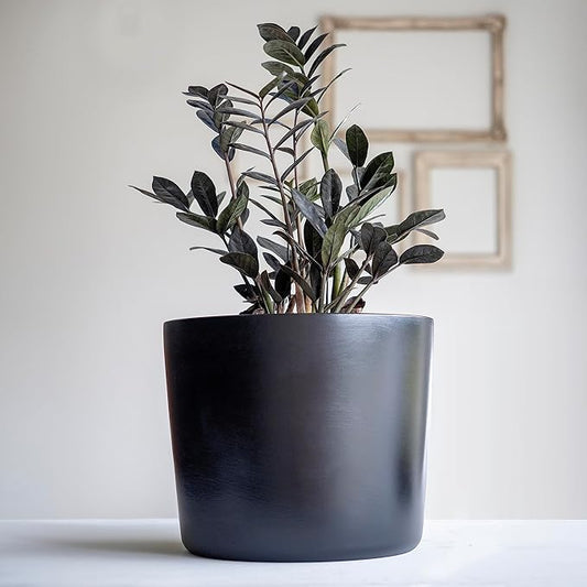 Willowy 12 Inch Large Plant Pot - Black - Large Ceramic Indoor Planter Pot, Large Black Planter, Modern Planter, 12 Inch Pots for Plants, Outdoor Tree Pot, Black Flower Pot, 12 Inch Flower Pot