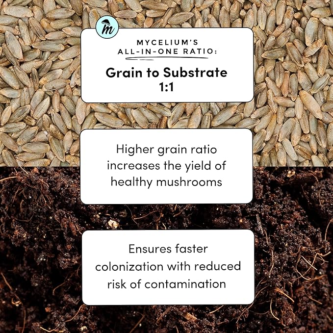 Mycelium's Superior Dung-Loving Mushroom Substrate Rye Berries Grain 5 LB All-in-One Bag – Organic Coco Coir, Vermiculite & Gypsum Formula, Pre-Sterilized & Ready for Easy Home Cultivation