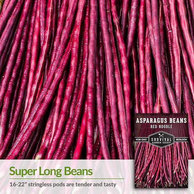 Survival Garden Seeds - Red Noodle Asparagus Bean Seed for Planting - 2 Packs with Instructions to Plant and Extremely Long Stringless Beans in Your Home Vegetable Garden - Non-GMO Heirloom Variety