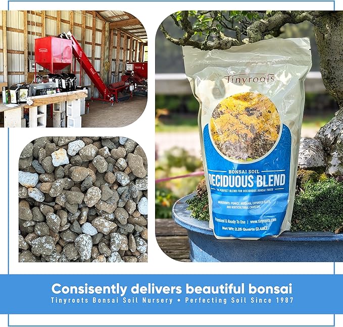 Deciduous Blend Bonsai Soil - Tinyroots Organic Bonsai Dirt Formulated for Japanese Maple, Hornbean, Elm and Other Deciduous Bonsai Trees, 4 Quarts