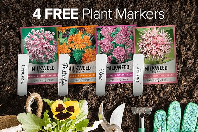 Gardeners Basics, Milkweed Seeds for Monarch Butterflies (4 Variety Pack) Common, Showy, Butterfly and Rose Varieties Attracts Butterflies, Bees and Pollinators Heirloom Flower Seeds Wildflower Seed