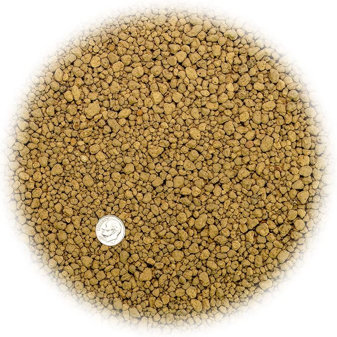 Japanese Hyuga Pumice - Premium Additive for Orchid & Bonsai Tree Soil |Professional Imported Sifted and Ready to Use (5 Quart Bag)