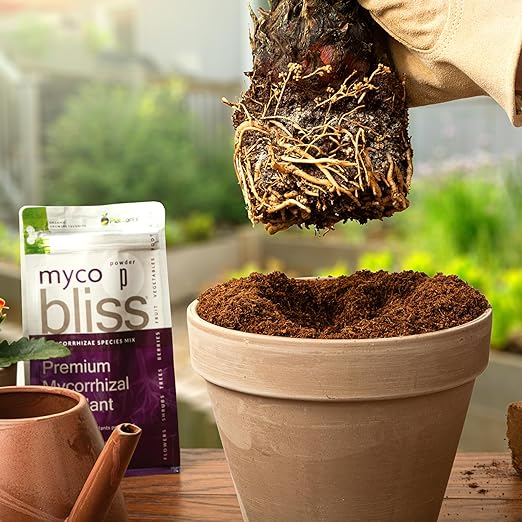 Myco Bliss Granular (200 g) - Mycorrhizal Fungi for Plants - 5 Strain Mycorrhizal Inoculant with 1000 Propagules Per Gram - Highly Concentrated Mycorrhizae for Plants, Potting Soil, & Garden Soil