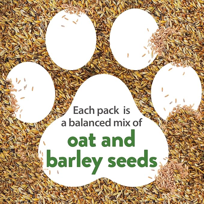 HOME GROWN 4oz Cat Grass Seeds - Oat Seeds & Barley Seeds Mix - Keep Your Pet Healthy with Cat Grass for Indoor Cats - Cat Grass Seeds Bulk - Refill Cat Grass Growing Kit - 100% Non-GMO