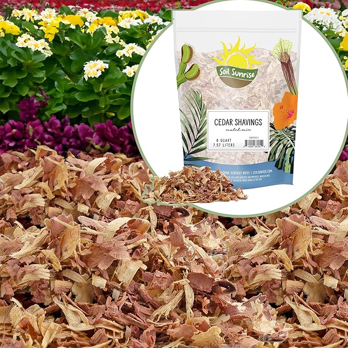 Natural Cedar Shavings Mulch/Bedding (8 Quarts), Garden Mulch and Small Animal Pet Bedding