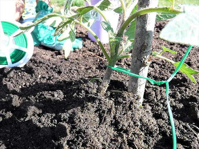 Garden Tool Kit for Young Gardeners