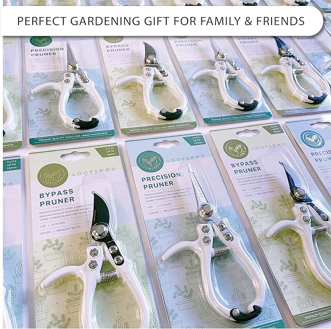 Plant Pruning Shears Garden Trimming Scissors Precision Hand Pruner Herb Snips Flower Clippers Bonsai Trimmers Straight Sharp Blade Tapered Tip Ergonomic Handle Modern Garden Tools
