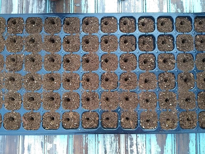 24-Hole Soil Digger and Seed Spacer for Planting Seeds | New Garden Tool, Gift for Gardener