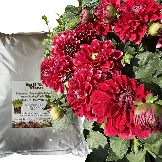 Potassium Polyacrylate for Garden Lasts Up to 7 Years in Soil (20)