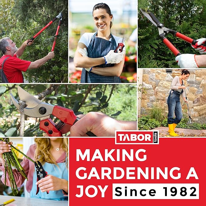 TABOR TOOLS GG22A Telescopic Extendable Anvil Lopper with Compound Action, 27-40 Inch Telescopic Tree Trimmer, Long Handled Branch Cutter with ⌀ 2 Inch Cut Capacity, Chops Thick Branches with Ease.