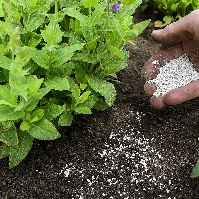 Jobe's Organics Garden Lime, Lime Powder Soil Amendment for Lawns, Plants, and Gardens, 6 lbs Bag