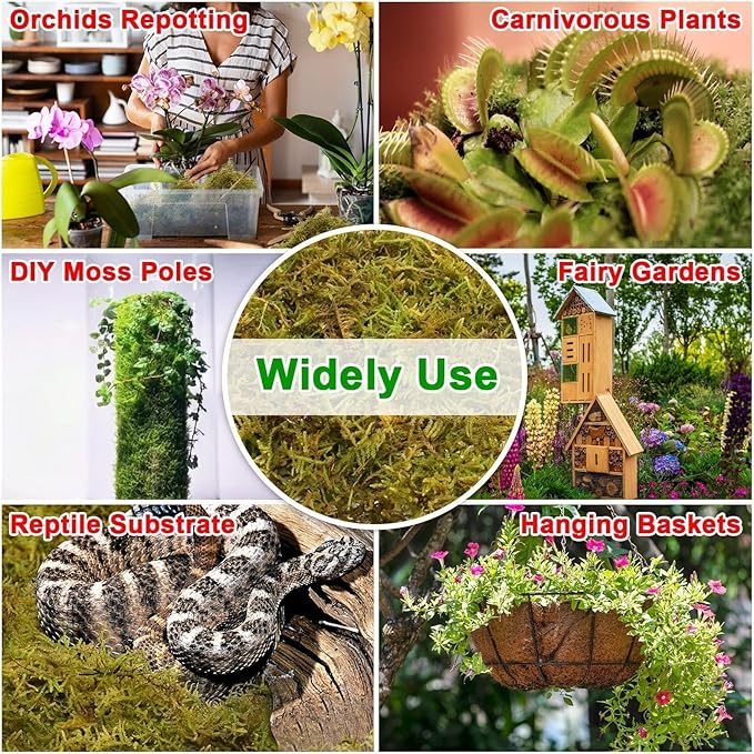 Halatool 0.75LB Green Forest Moss for Plant Indoor- 18QT Natural Orchid Moss Sphagnum for Potting Mix, Real Dry Moss for Repotting Potted Plants Orchids Succulent Carnivorous Cactus Pothos