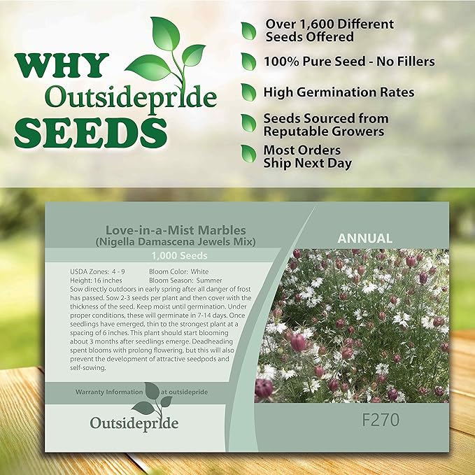 Outsidepride 2000 Seeds Annual Nigella White Love-in-a-Mist Flower Seeds for Planting