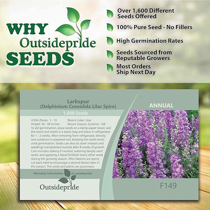 Outsidepride 1000 Seeds Delphinium Lilac Larkspur Flower Seeds for Planting