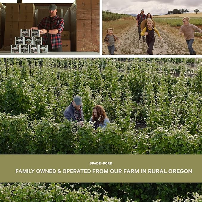 Organic Herb Garden Kit Indoor - Certified Organic & Made in USA | Herb Plants for Women and Men, Indoor Herb Garden Starter Kit, Herb Growing Kit Indoor, Plant Growing Kit, Herb Starter Kit Plant Kit