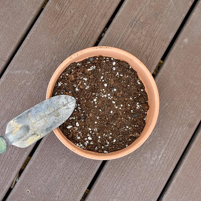 Monstera Houseplant Potting Soil Mix (8 Quarts), Custom Blend for Growing and Repotting