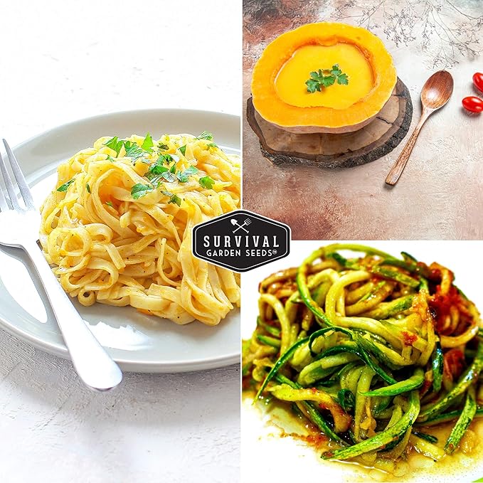 Survival Garden Seeds - Spaghetti Squash Seed for Planting - 2 Packets with Instructions to Plant and Grow Low Carb Healthy Winter Squash in Your Home Vegetable Garden - Non-GMO Heirloom Variety