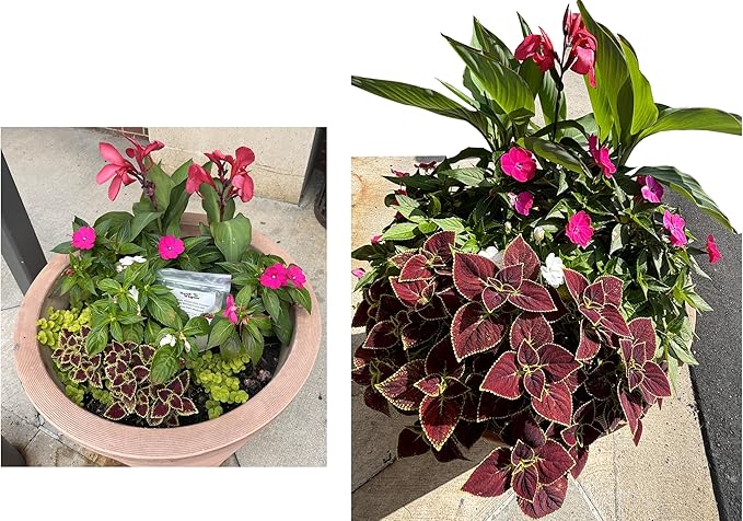 5 Lbs. Soil Vigor Super Absorbent Polymer, Moisture Trap for All Plants, Trees, Shrubs, Vegetable, Flower Gardens, and Lawns