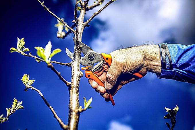 Original LÖWE Profi Anvil Prunner Garden Tools 8.107 with Bypass Geometry | Robust & Sharp Hedge Trimmer | Use as Pruners, Garden Shears, Handheld, Pruning Shears for Gardening | Made in Germany