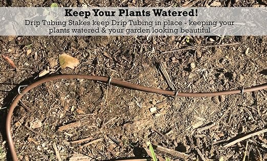 Sandbaggy DRIP TUBING Stakes Landscape Staples | 5 inch Length | Drip Anchors | Landscape Pins | Lawn Nails | Garden Stakes | Designed to Hold Drip Tubing Up to 1/4" Diameter | Pack of 1000