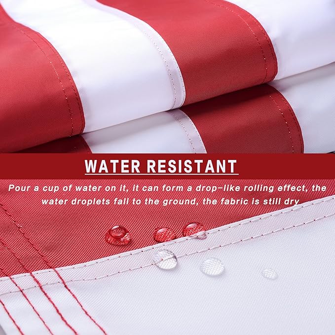 American Flag 10x15 Outside, US Flags for Outdoor Indoor, Heavy Duty Durable, Deluxe Embroidered Stars, Brass Grommets, Sewn Stripes, Vivid Color, Fade Resistant and waterproof