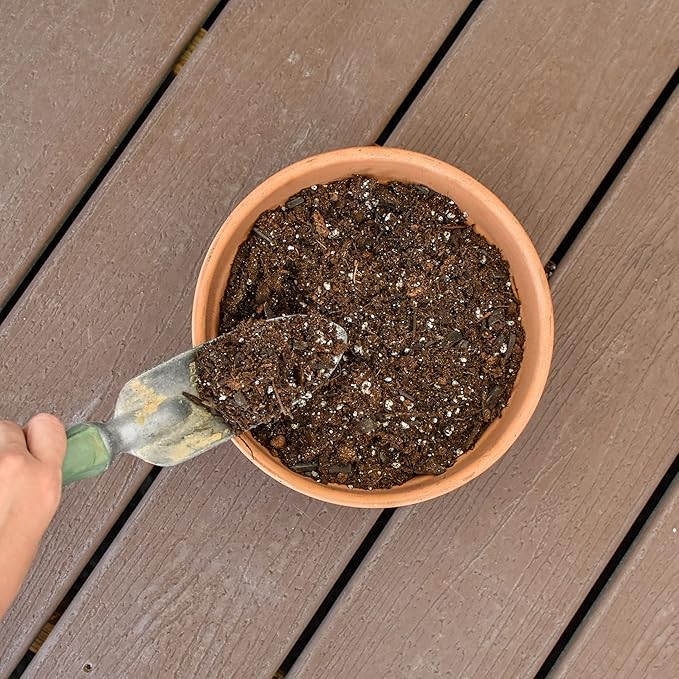 Banana Tree Potting Soil Mix (8 Quarts), Hand Blended Mixture for Banana Plants