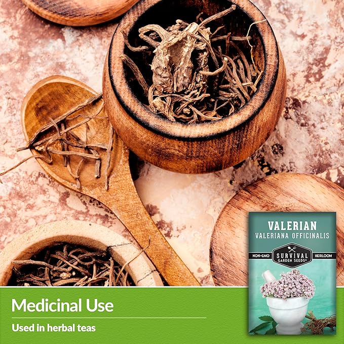 Valerian Seeds for Planting - 3 Packets with Instructions to Plant and Grow Medicinal Herb Valeriana Officinalis in Your Home Herb Garden - Non-GMO Heirloom Variety - Survival Garden Seeds