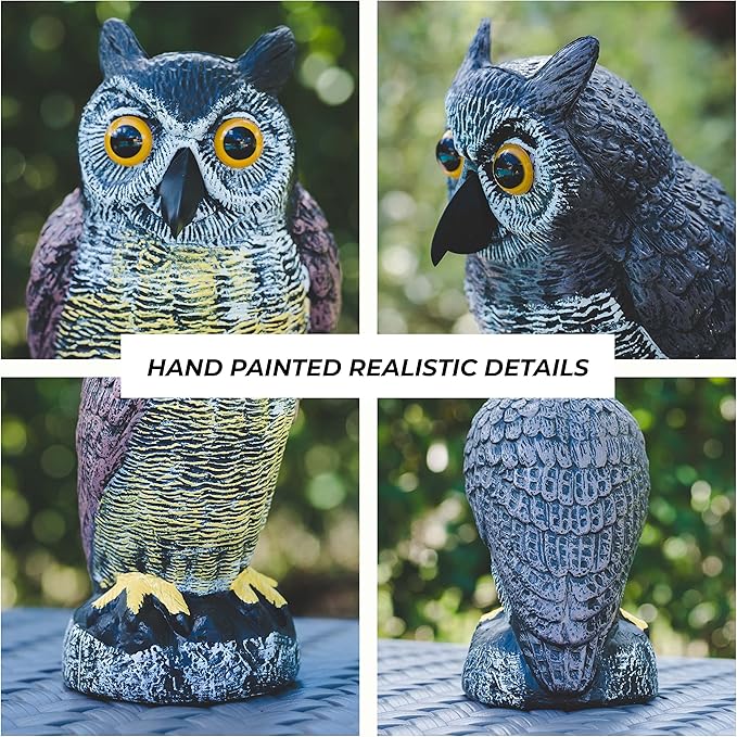 Galashield Owl Decoy to Scare Birds Away | Plastic Owls to Scare Birds Away | Owl Statue for Garden & Outdoors by Galashield [Set of 2]