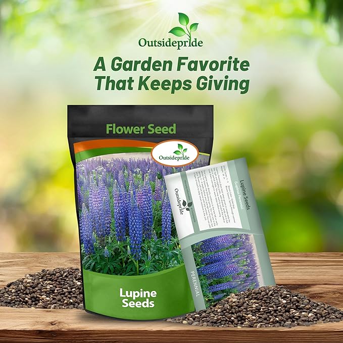 Outsidepride 5 lb. Perennial Blue Lupine Flower Seeds for Planting