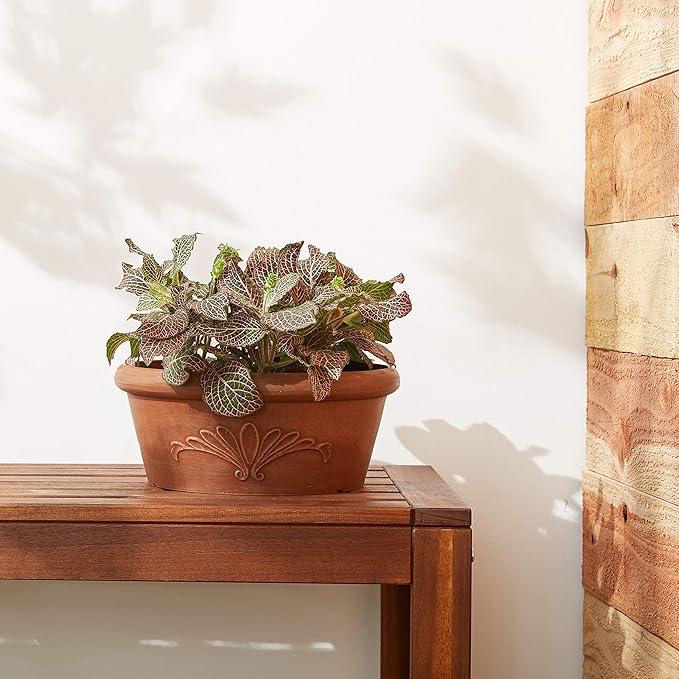 PSW Pot TA30TC Collection Shallow Bulb Pan Planter Dish Low Bowl for Succulents, Bonsai, Fairy Gardens, Herbs, 12-inch, Terra Cotta Color