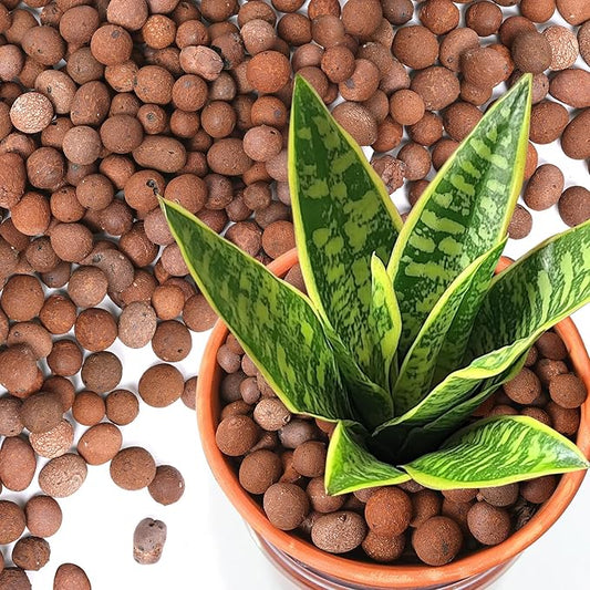 T4U Leca Clay Pebbles for Plants, 4 LBS 10-20 mm Clay Balls for Indoor Plants, Natural Clay Pebbles for Orchid Potting Mix, Hydroponic, Leca Pots, Plant Drainage, Garden Soil